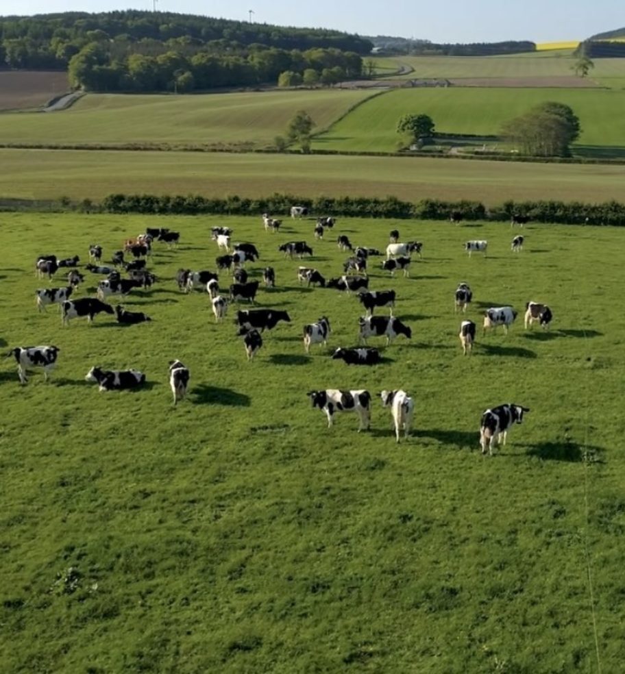 Organic Farming